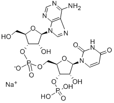 ADENYLYL(3'>5')URIDINE 3'-MONOPHOSPHATE SODIUM CAS#: 147202-92-4