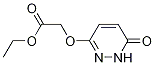 Acetic acid, [(1,6-dihydro-6-oxo-3-pyridazinyl)oxy]-, ethyl ester CAS#: 34173-81-4