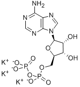 Adenosine 5'-(trihydrogen diphosphate), potassium salt CAS#: 35170-30-0