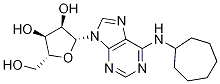 Adenosine, N-cycloheptyl- CAS#: 41552-83-4