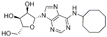 Adenosine, N-cyclooctyl- CAS#: 41552-84-5