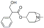 Atropine CAS#: 4438-22-6
