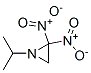 Aziridine, 1-(1-methylethyl)-2,2-dinitro- (9CI) CAS#: 158670-15-6