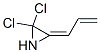 Aziridine, 2,2-dichloro-3-(2-propenylidene)- (9CI) CAS#: 148693-63-4