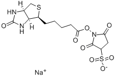 BIOTIN-NHS, WATER-SOLUBLE CAS#: 119616-38-5