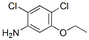 Benzenamine, 2,4-dichloro-5-ethoxy- (9CI) CAS#: 380844-01-9