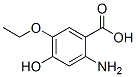 Benzoic acid, 2-amino-5-ethoxy-4-hydroxy- (9CI) CAS#: 164161-22-2