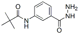 Benzoic acid, 3-[(2,2-dimethyl-1-oxopropyl)amino]-, hydrazide (9CI) CAS#: 384824-87-7