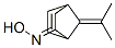 Bicyclo[2.2.1]hept-5-en-2-one, 7-(1-methylethylidene)-, oxime (9CI) CAS#: 118999-99-8