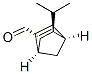 Bicyclo[2.2.1]hept-5-ene-2-carboxaldehyde, 3-(1-methylethyl)-, (1S,2S,3S,4R)- (9CI) CAS#: 278173-27-6