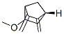 Bicyclo[2.2.1]heptane, 5-methoxy-2,3-bis(methylene)-, (1R-exo)- (9CI) CAS#: 118157-59-8