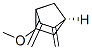 Bicyclo[2.2.1]heptane, 5-methoxy-2,3-bis(methylene)-, (1S-endo)- (9CI) CAS#: 174172-49-7