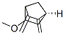 Bicyclo[2.2.1]heptane, 5-methoxy-2,3-bis(methylene)-, (1S-exo)- (9CI) CAS#: 174172-48-6
