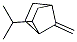 Bicyclo[2.2.1]heptane, 7-methylene-2-(1-methylethyl)- (9CI) CAS#: 125909-73-1