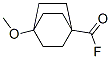 Bicyclo[2.2.2]octane-1-carbonyl fluoride, 4-methoxy- (9CI) CAS#: 116935-81-0