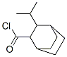 Bicyclo[2.2.2]octane-2-carbonyl chloride, 3-(1-methylethyl)- (9CI) CAS#: 118208-00-7