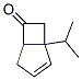 Bicyclo[3.2.0]hept-2-en-6-one, 1-(1-methylethyl)- (9CI) CAS#: 35071-58-0
