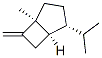 Bicyclo[3.2.0]heptane, 1-methyl-7-methylene-4-(1-methylethyl)-, [1S-(1alpha,4alpha,5alpha)]- (9CI) CAS#: 174364-68-2