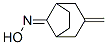 Bicyclo[3.2.1]octan-8-one, 3-methylene-, oxime (9CI) CAS#: 362656-66-4