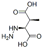 Butanedioic acid, 2-hydrazino-3-methyl-, [S-(R*,R*)]- (9CI) CAS#: 156996-44-0