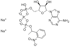 CAGED ATP, DISODIUM SALT CAS#: 125229-58-5