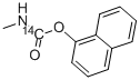 CARBARYL-NAPHTHALENE-1-14C CAS#: 3197-91-9