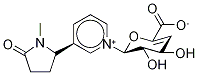 COTININE-N-(4-DEOXY-4,5-DIDEHYDRO)-?-D-GLUCURONIDE CAS#: 146275-15-2