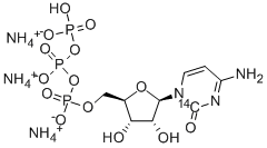 CYTIDINE-2-14C 5'-TRIPHOSPHATE AMMONIUM SALT CAS#: 134940-99-1