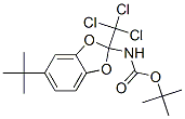 Carbamic acid, [5-(1,1-dimethylethyl)-2-(trichloromethyl)-1,3-benzodioxol-2-yl]-, 1,1-dimethylethyl ester (9CI) CAS#: 301233-31-8