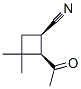 Cyclobutanecarbonitrile, 2-acetyl-3,3-dimethyl-, cis- (9CI) CAS#: 141422-99-3