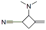 Cyclobutanecarbonitrile, 2-(dimethylamino)-3-methylene- (9CI) CAS#: 344353-68-0