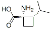 Cyclobutanecarboxylic acid, 1-amino-2-(1-methylethyl)-, trans- (9CI) CAS#: 166666-95-1