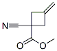 Cyclobutanecarboxylic acid, 1-cyano-3-methylene-, methyl ester (9CI) CAS#: 116546-99-7
