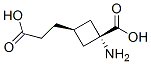 Cyclobutanepropanoic acid, 3-amino-3-carboxy-, cis- (9CI) CAS#: 161181-74-4
