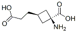 Cyclobutanepropanoic acid, 3-amino-3-carboxy-, trans- (9CI) CAS#: 161181-75-5
