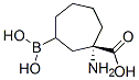 Cycloheptanecarboxylic acid, 1-amino-3-borono-, (1S)- (9CI) CAS#: 379216-52-1