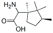 Cyclopentaneacetic acid, -alpha--amino-1,2,2,3-tetramethyl-, (1R,3S)- (9CI) CAS#: 314271-69-7