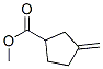 Cyclopentanecarboxylic acid, 3-methylene-, methyl ester (9CI) CAS#: 37575-80-7