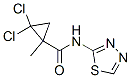 Cyclopropanecarboxamide, 2,2-dichloro-1-methyl-N-1,3,4-thiadiazol-2-yl- (9CI) CAS#: 345314-55-8