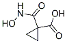 Cyclopropanecarboxylic acid, 1-[(hydroxyamino)carbonyl]- (9CI) CAS#: 168982-26-1