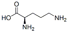 D-ornithine CAS#: 348-66-3