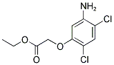 ETHYL 2-(5-AMINO-2,4-DICHLOROPHENOXY)ACETATE CAS#: 338960-27-3