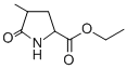 ETHYL 4-METHYLPYROGLUTAMATE CAS#: 118767-38-7