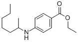 ETHYL N-(2-HEPTYL)-P-AMINOBENZOATE CAS#: 132666-33-2