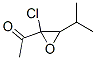 Ethanone,  1-[2-chloro-3-(1-methylethyl)oxiranyl]-  (9CI) CAS#: 32998-71-3