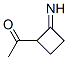 Ethanone, 1-(2-iminocyclobutyl)- (9CI) CAS#: 143739-99-5