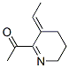 Ethanone, 1-(3-ethylidene-3,4,5,6-tetrahydro-2-pyridinyl)- (9CI) CAS#: 118355-72-9