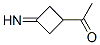 Ethanone, 1-(3-iminocyclobutyl)- (9CI) CAS#: 143739-98-4