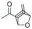 Ethanone, 1-(3-methylene-7-oxabicyclo[2.2.1]hept-5-en-2-yl)-, endo- (9CI) CAS#: 122711-88-0