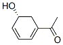 Ethanone, 1-(5-hydroxy-1,3-cyclohexadien-1-yl)-, (R)- (9CI) CAS#: 130384-72-4